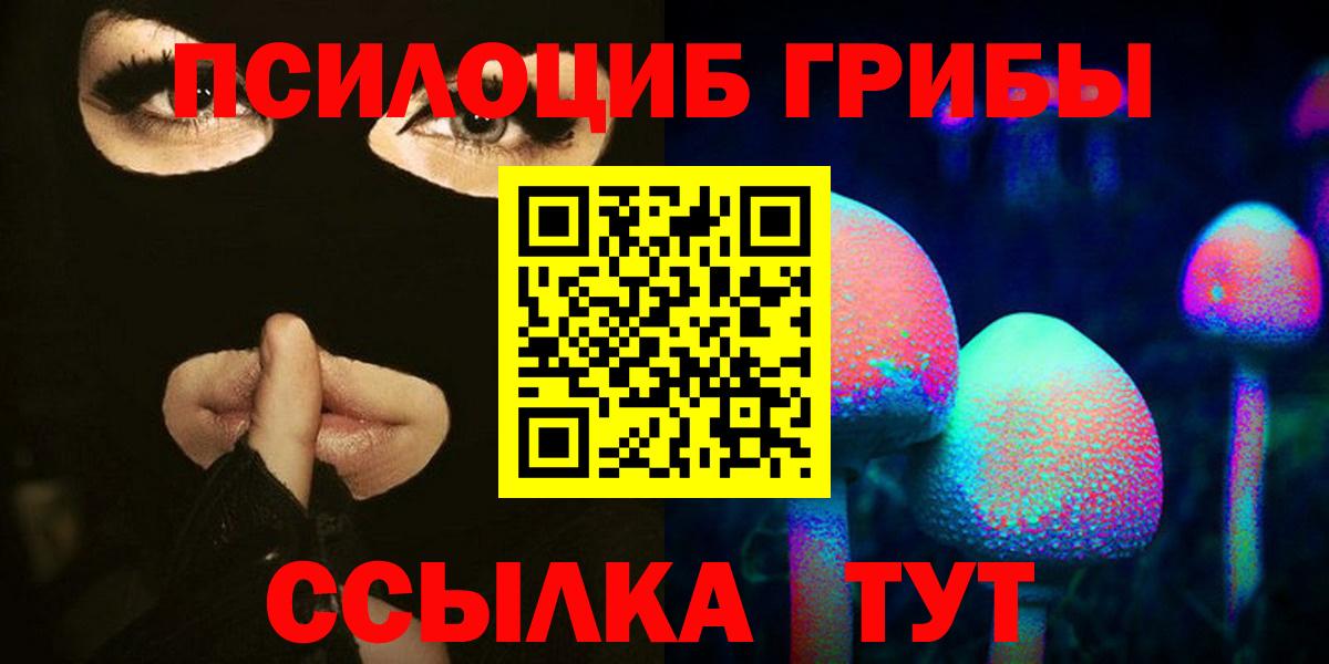 Псилоцибиновые грибы Cubensis Пенза