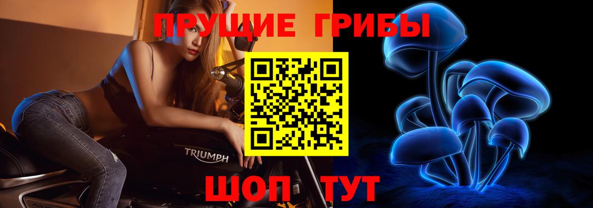 Псилоцибиновые грибы Psilocybe  Псилоцибиновые грибы Psilocybine cubensis  цены наркотик  Вход с VPN  Пенза 
